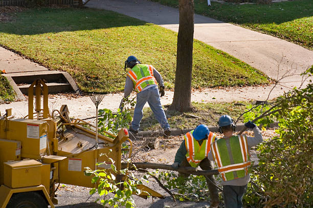 Best Artificial Turf Installation  in Pahokee, FL